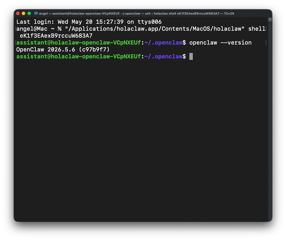 SSH command pasted into Terminal